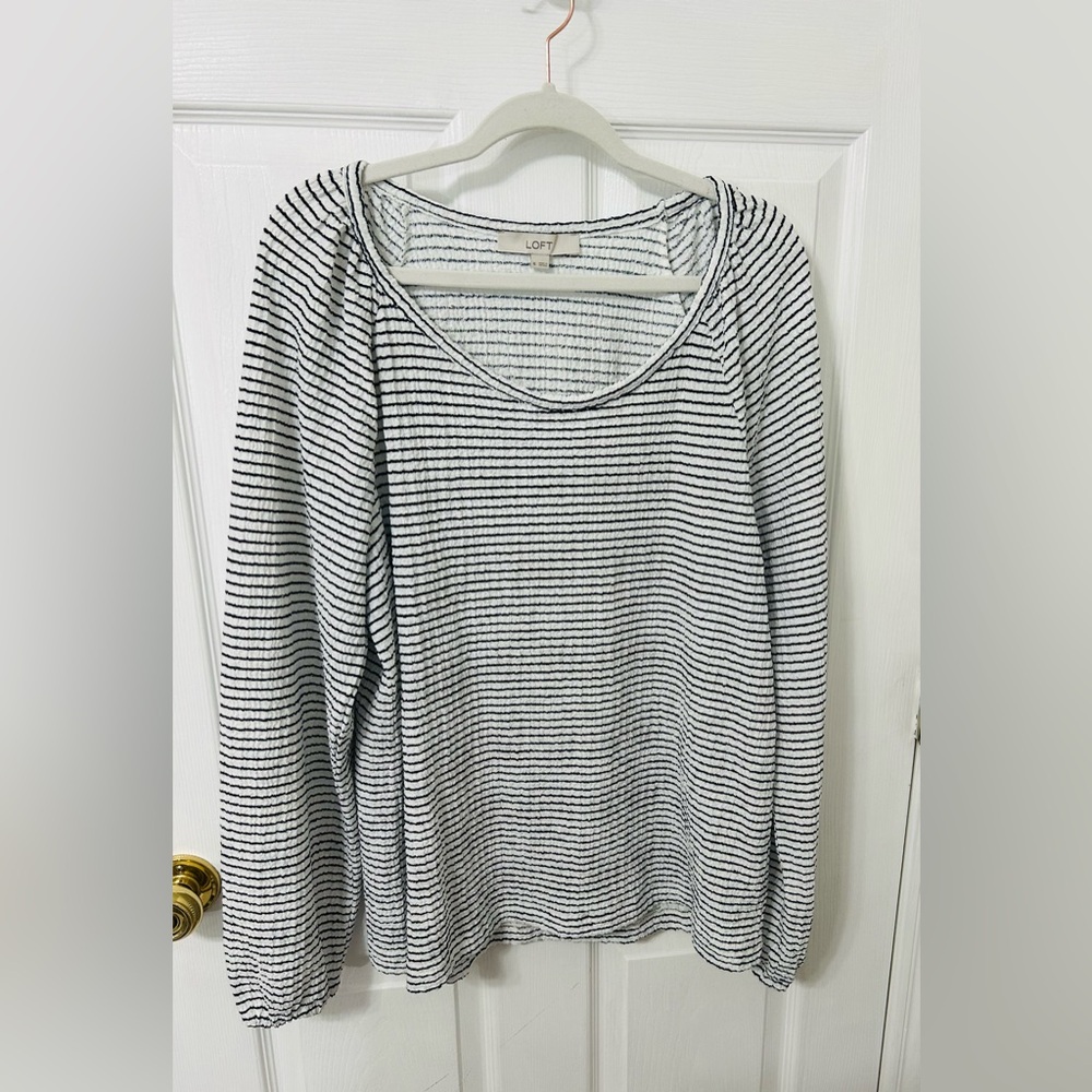 LOFT Women's Navy and White Striped shirt
